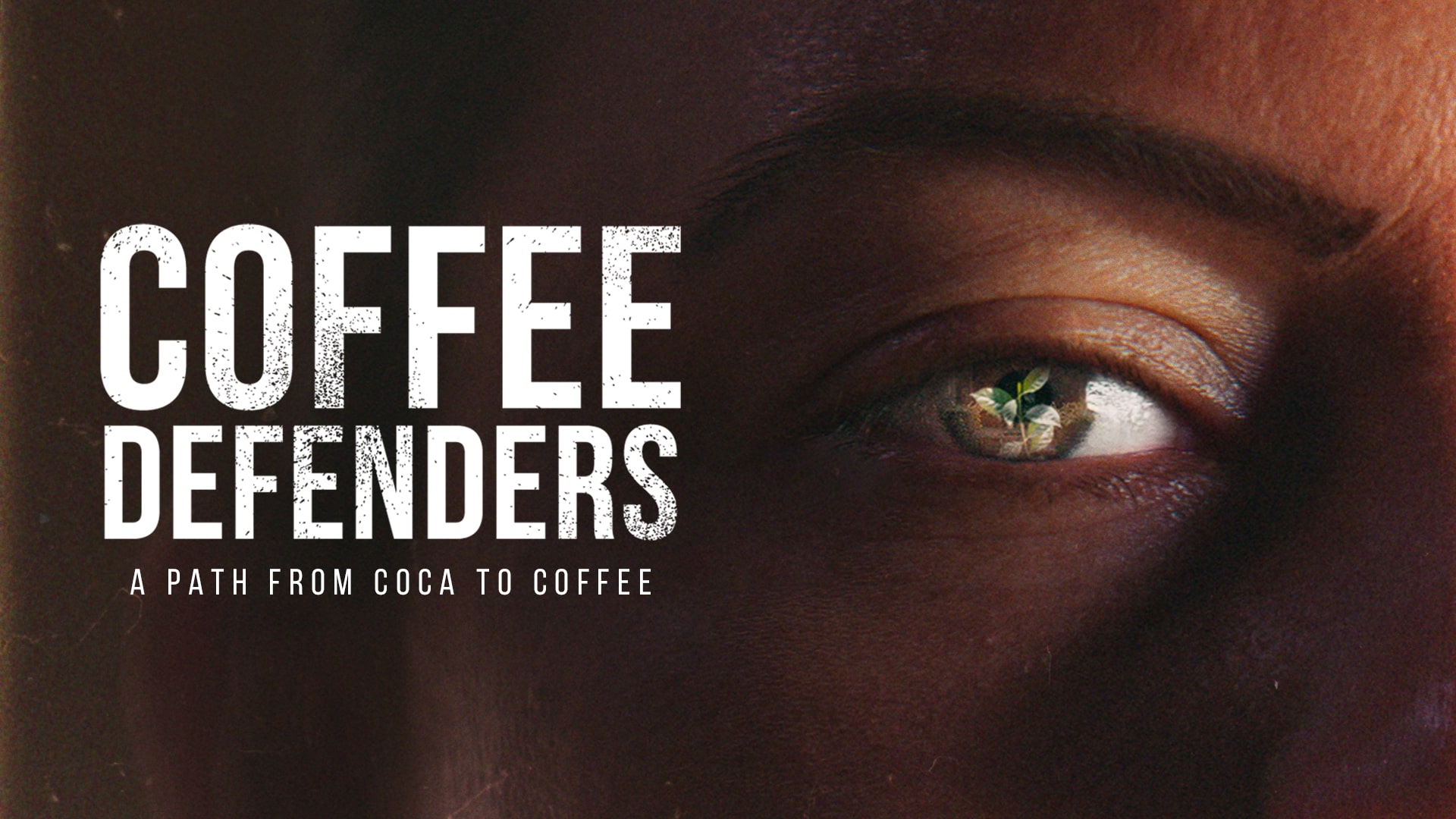 Coffee Defenders, il documentario di Lavazza è in uscita su Amazon