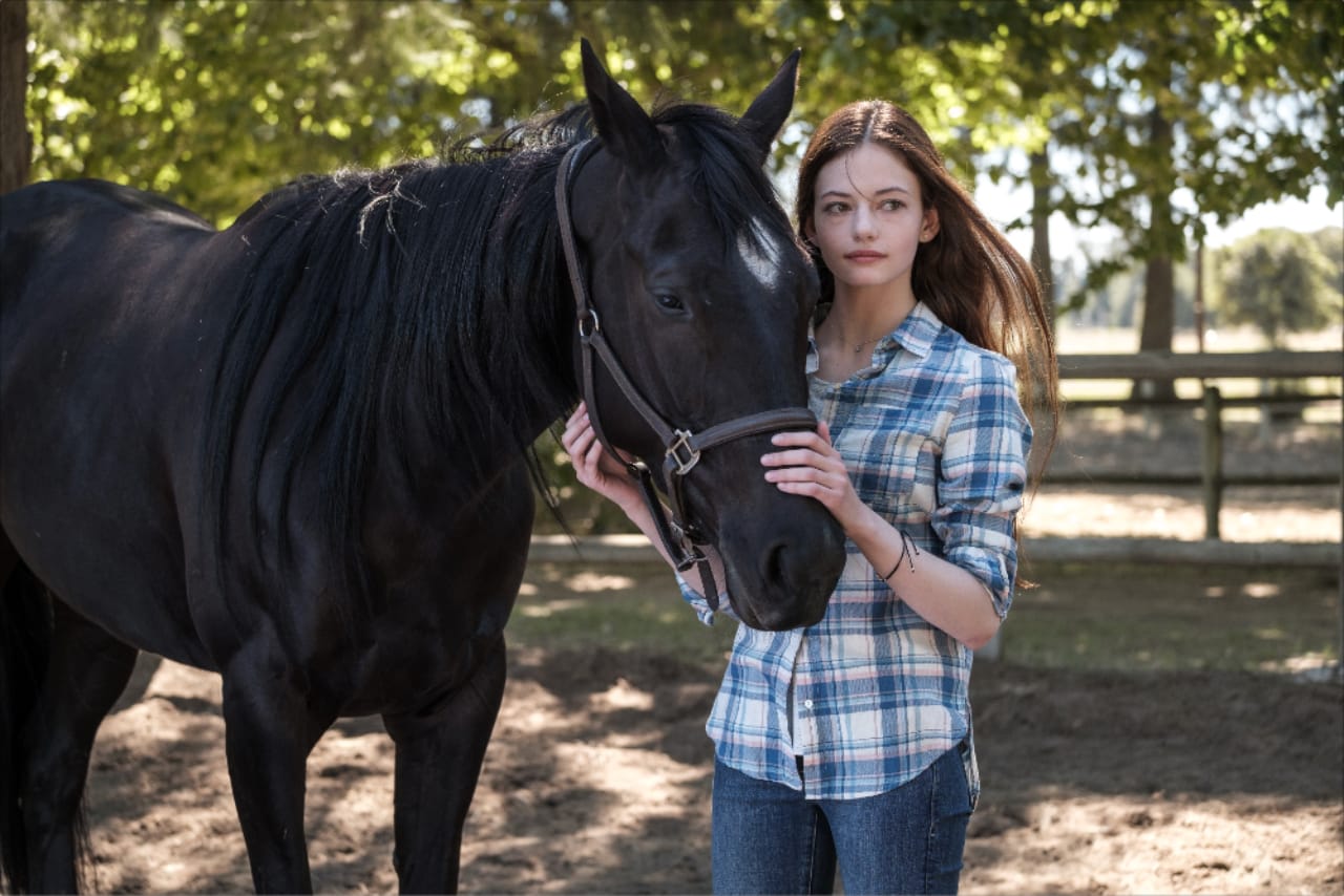 Black Beauty arriverà presto sul servizio streaming Disney+