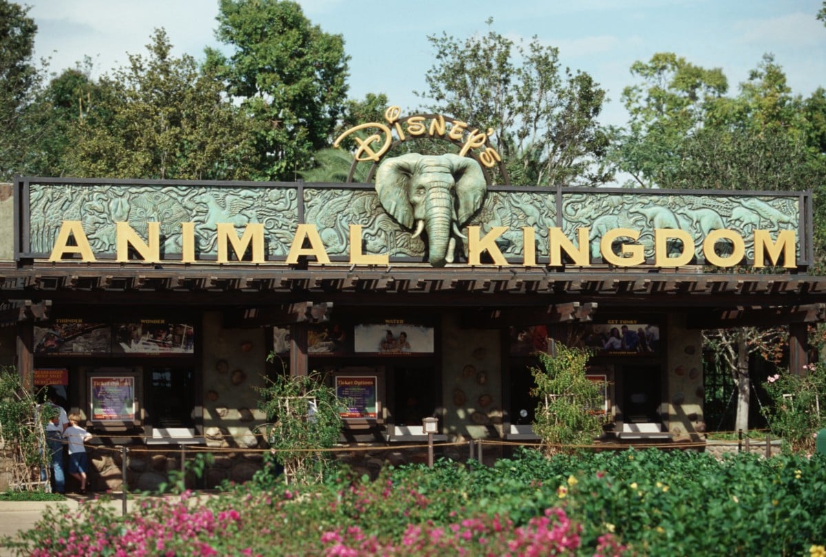 Gli Eroi del Disney Animal Kingdom sono in arrivo su Disney+