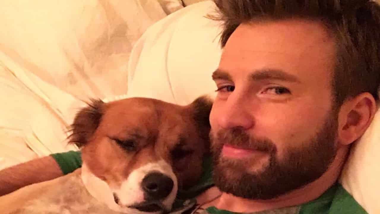 Chris Evans festeggia il National Dog Day con il suo Dodger