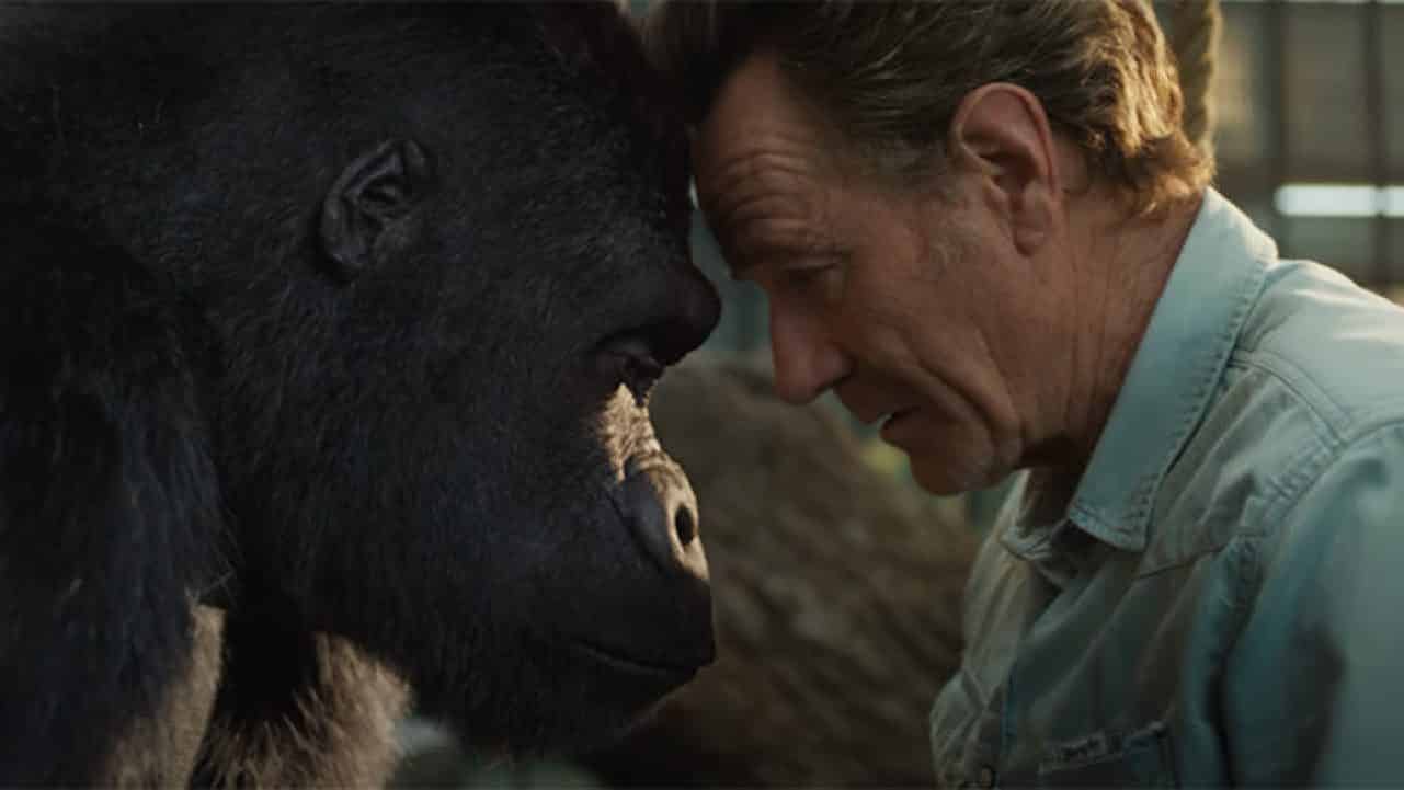 L’unico e insuperabile Ivan: recensione del film Disney+ con Bryan Cranston