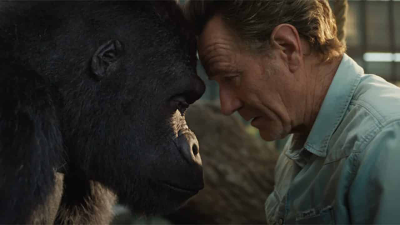 L’Unico e Insuperabile Ivan in anteprima al Giffoni Film Festival