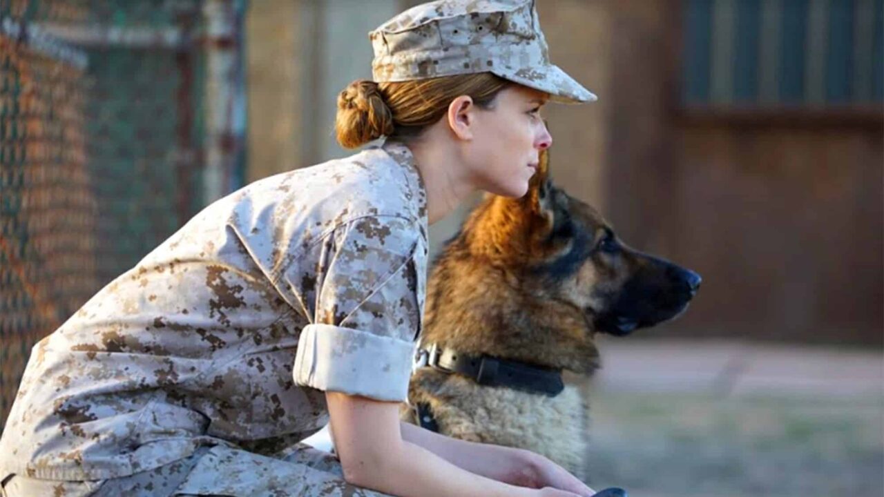 Sergente Rex: la storia vera alla base del film con Kate Mara