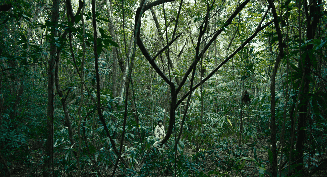 Selva Tragica cinematographe.it