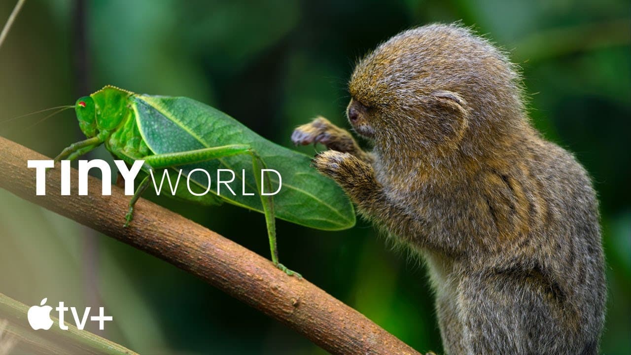 Tiny World: il trailer della docuserie in arrivo su Apple TV+