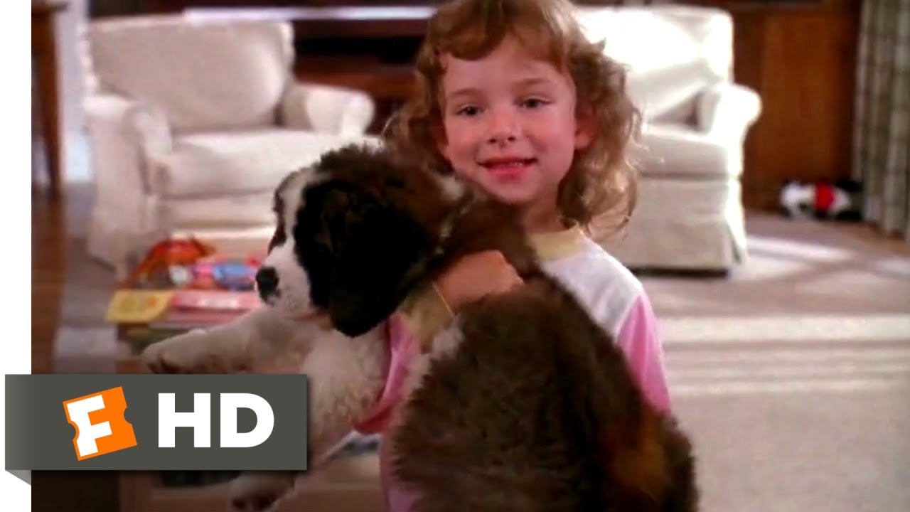 Beethoven 1 Film Streaming Che fine ha fatto Beethoven, il cane del film? La storia del San