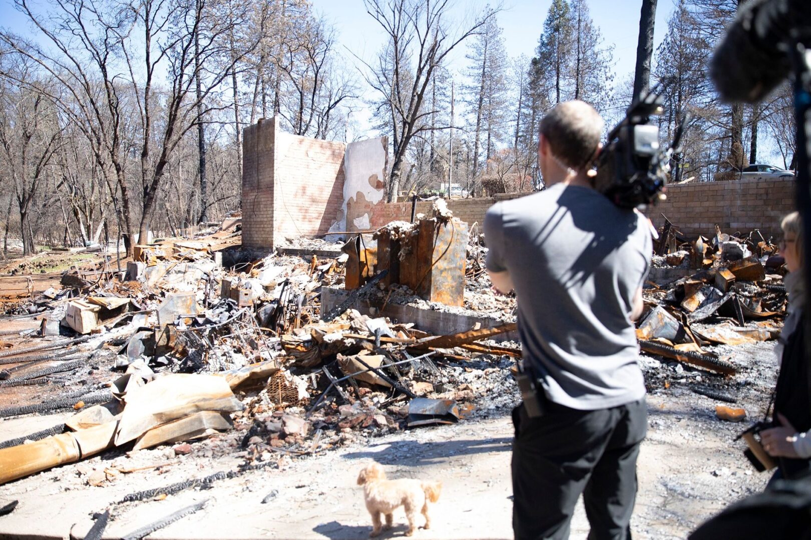 California: Paradiso in fiamme cinematographe.it 