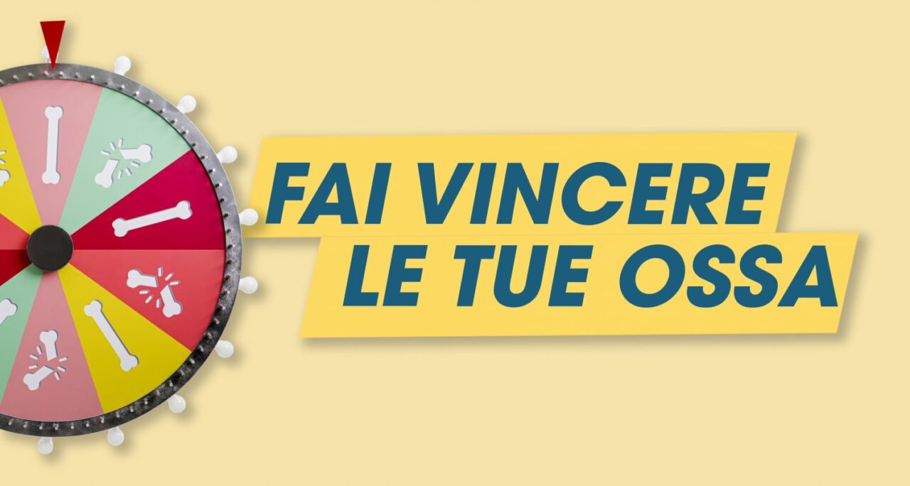 Fai vincere le tue ossa - cinematographe.it