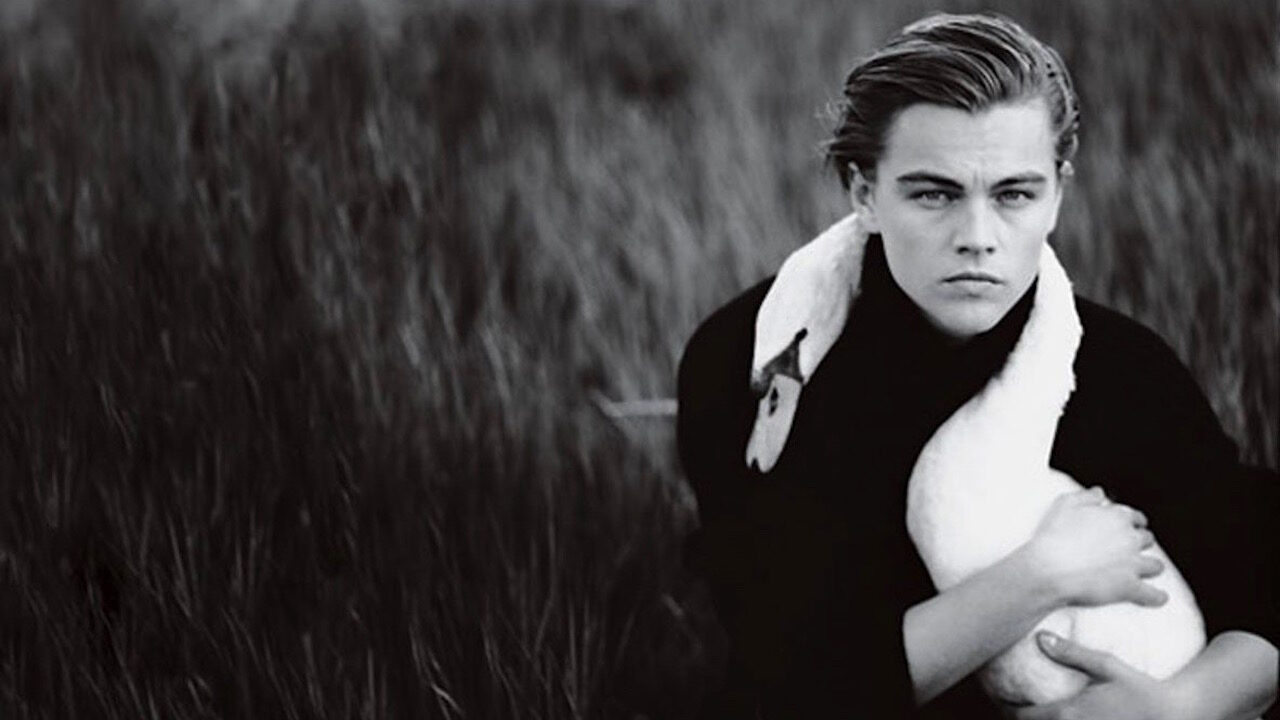 Leonardo DiCaprio - cinematographe.it