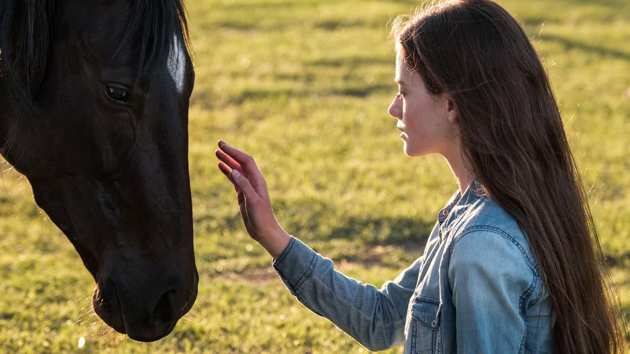 black beauty recensione film disney+ cinematographe.it