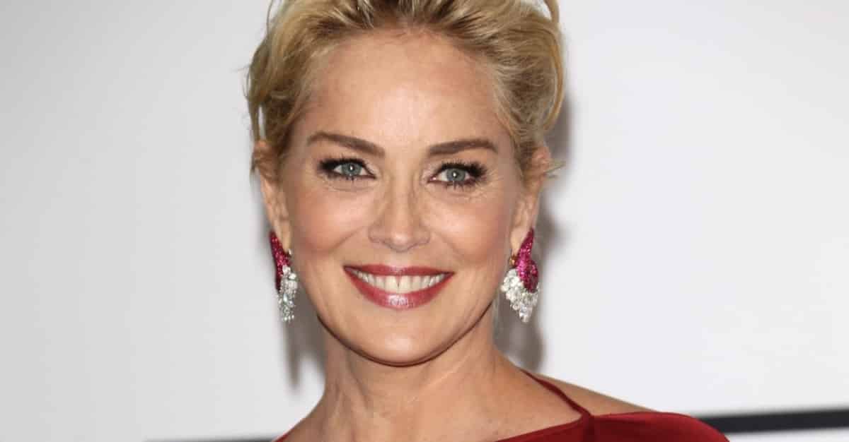 Avete mai visto i figli di Sharon Stone? Il figlio 20enne della diva di Basic Instict è stato pesantemente criticato per una particolarità sul viso