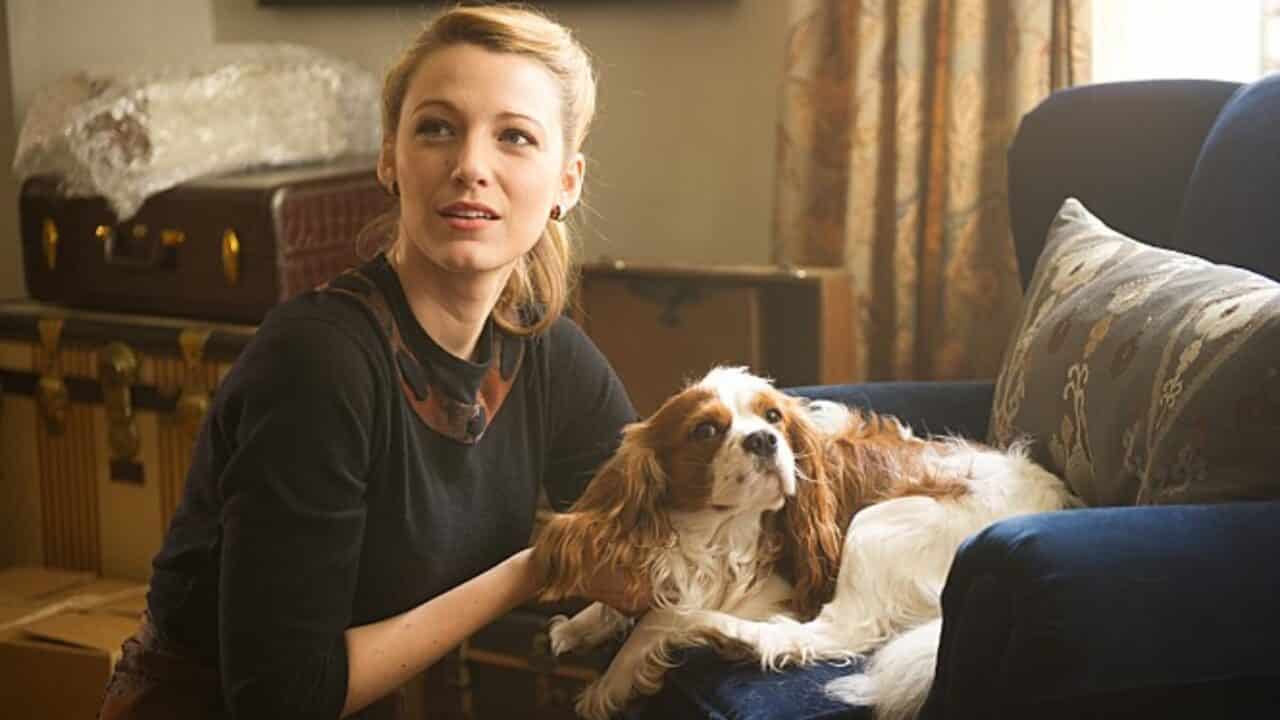 Blake Lively Cinematographe.it