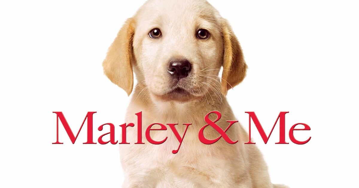 Io & Marley, cinematographe.it