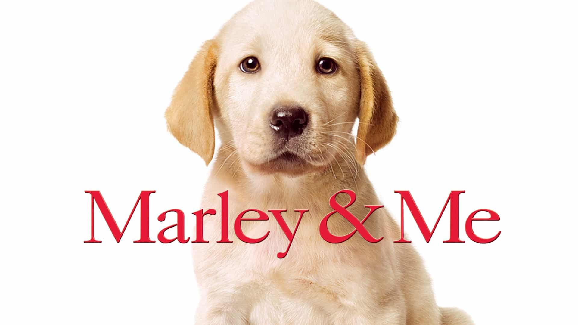 Io & Marley: la storia vera del film con Owen Wilson e Jennifer Aniston