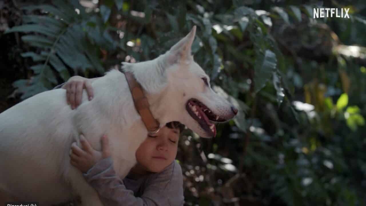 Una bambina abbraccia un cane