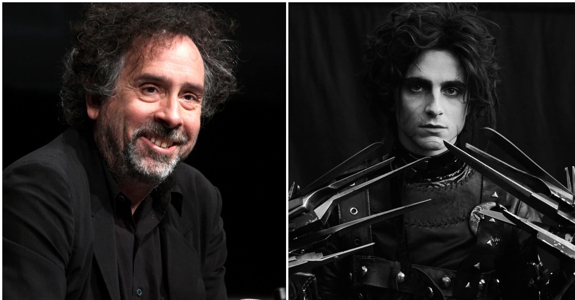 Edward mani di forbice: Tim Burton commenta lo spot con Timothée Chalamet