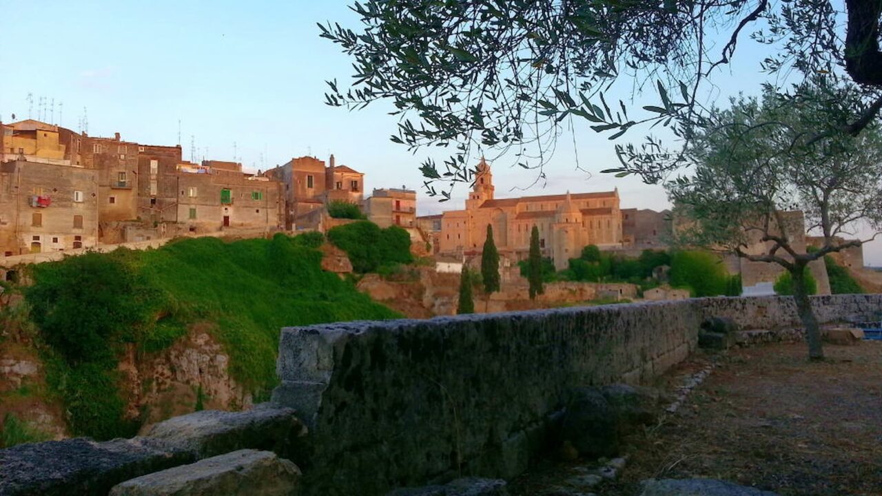 Gravina di Puglia, uliveti, L'ultimo paradiso, Cinematographe.it