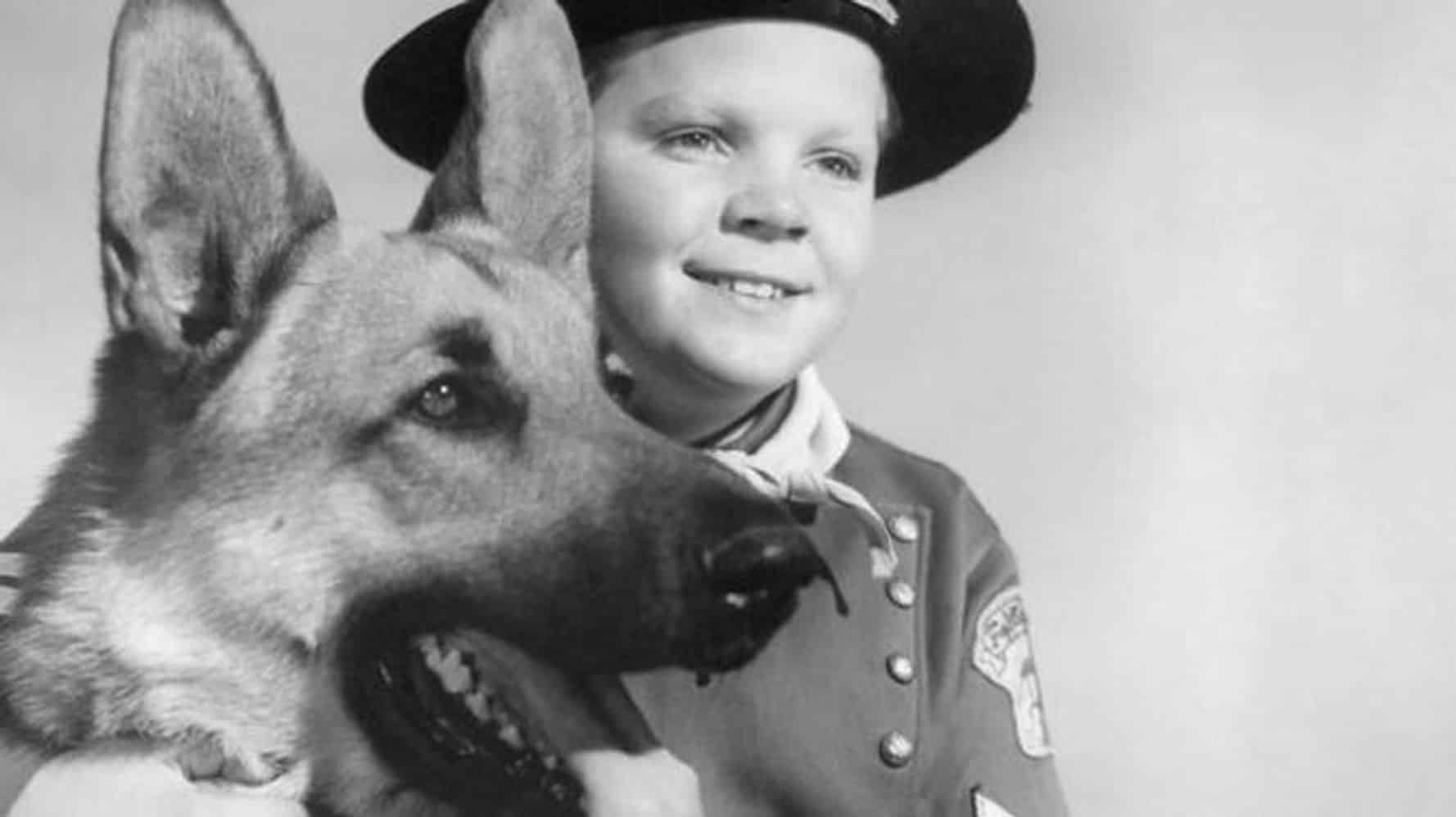 È morto Lee Aaker, addio al bambino protagonista di Rin Tin Tin