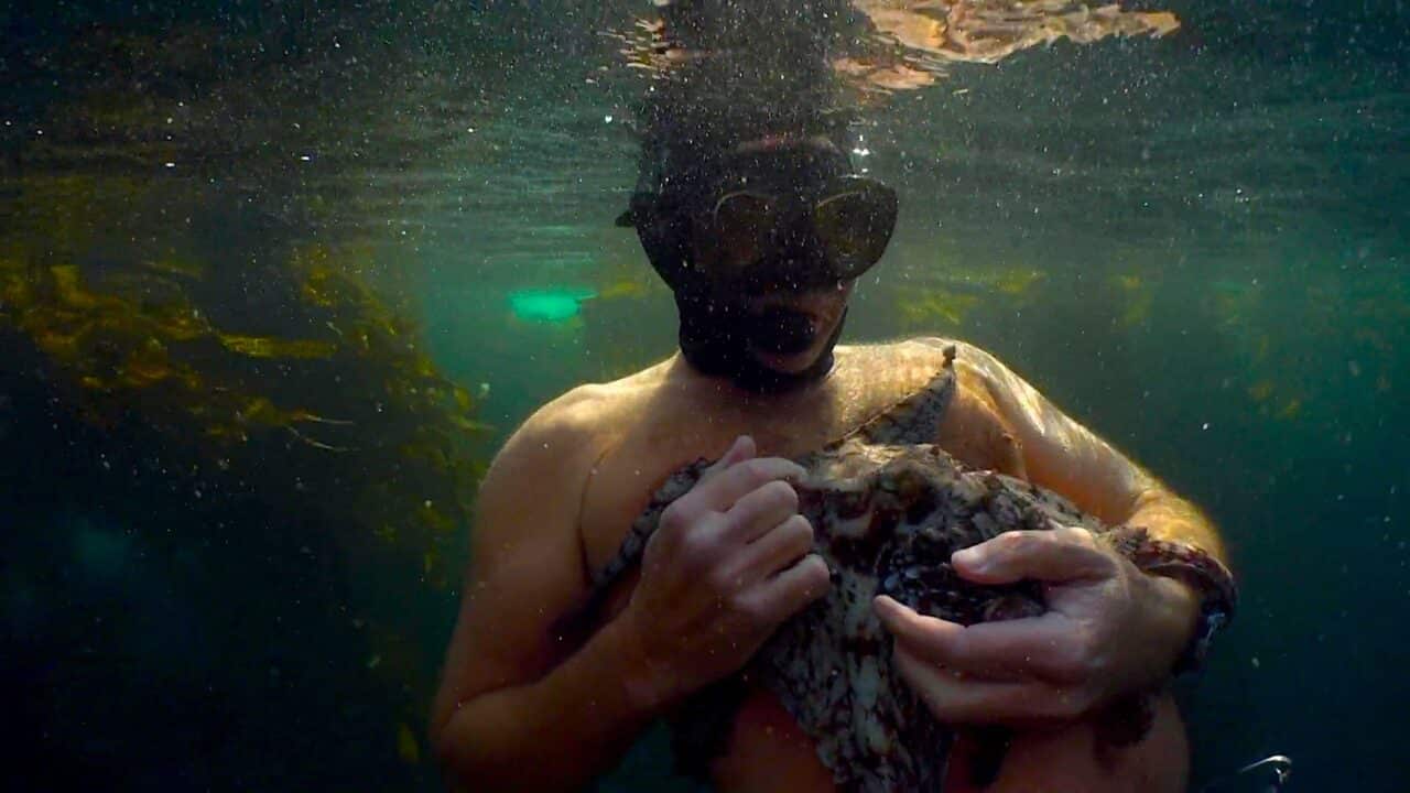 Il mio amico in fondo al mare - Cinematographe.it