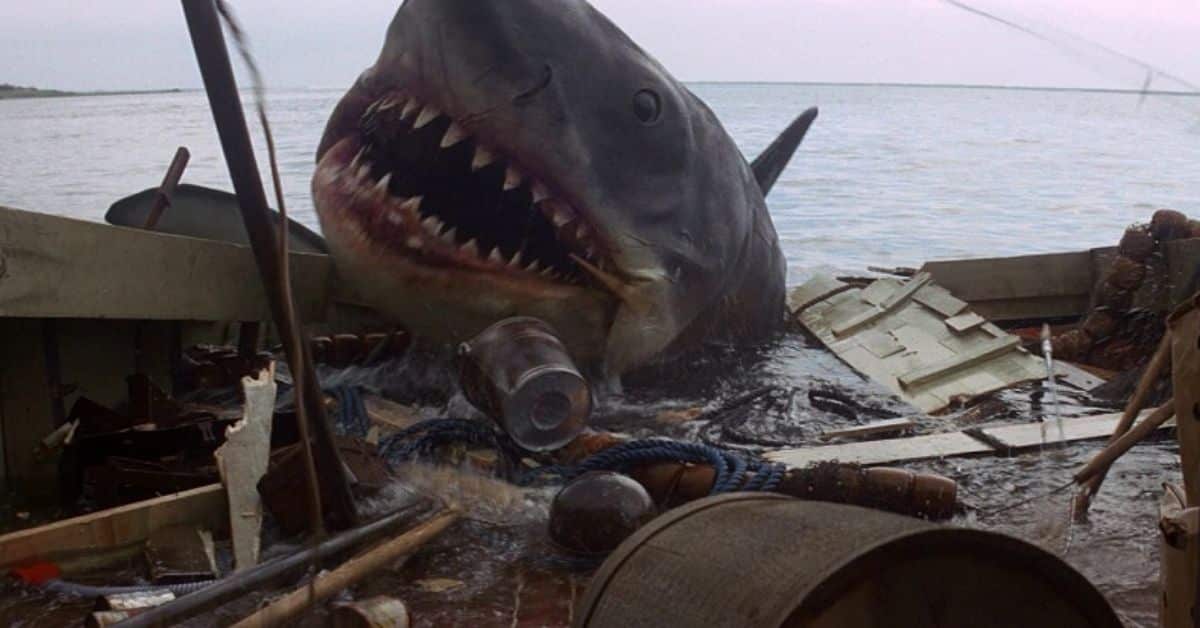 Lo squalo – l’incontro con un vero esemplare ha cambiato il finale del film: ecco l’incredibile incidente che ha stravolto il destino di Hooper