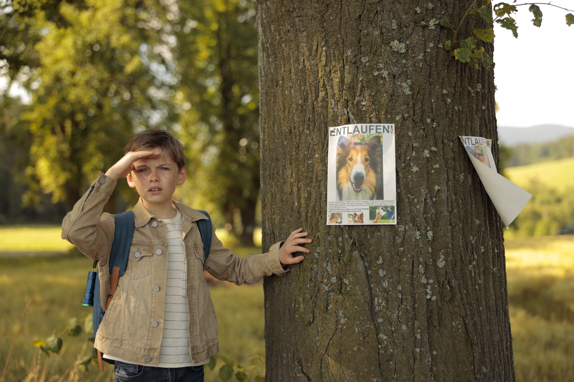 Lassie torna a casa Cinematographe.it