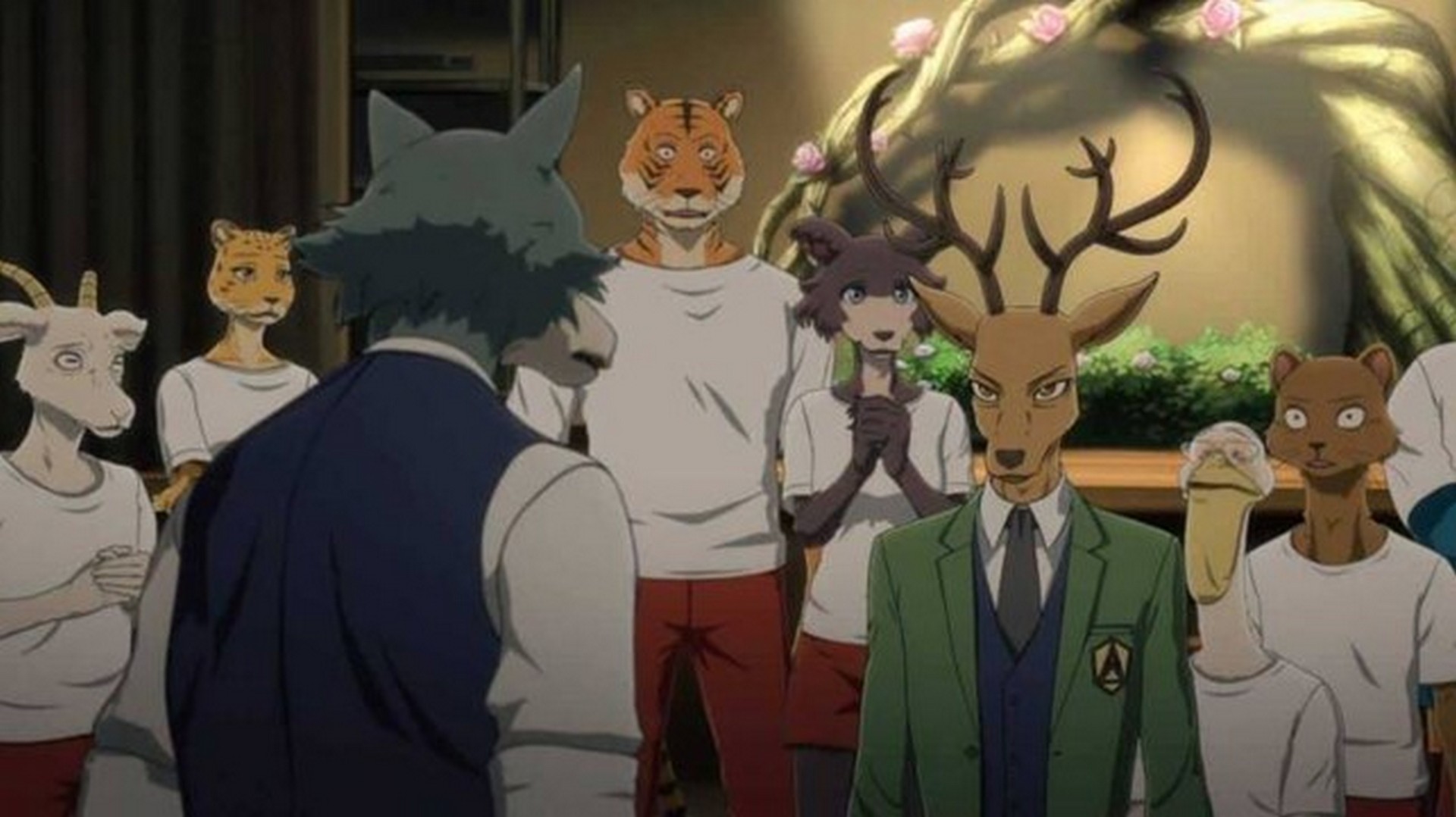 Beastars 2: recensione della serie anime su Netflix