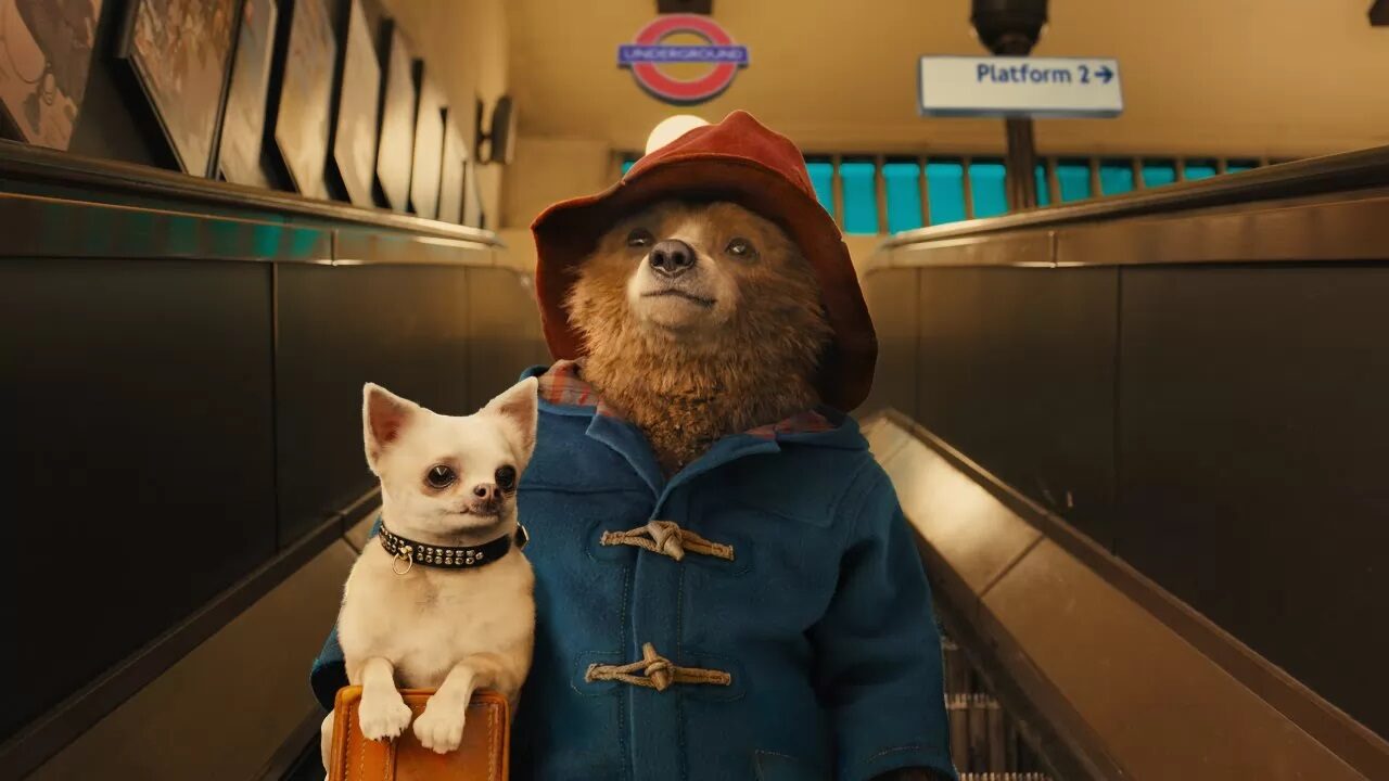 Paddington 3