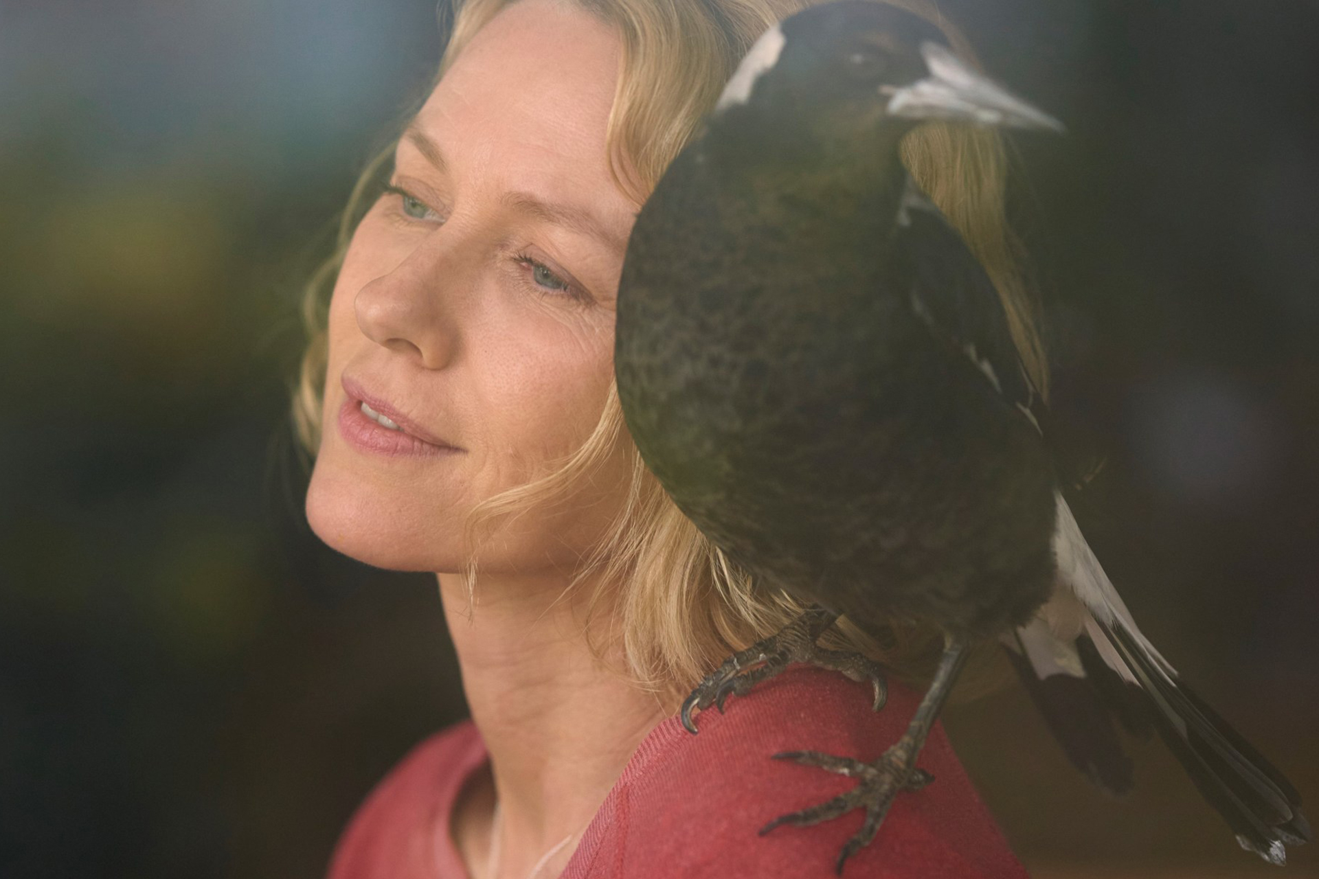 Penguin Bloom: la recensione del film con protagonista Naomi Watts