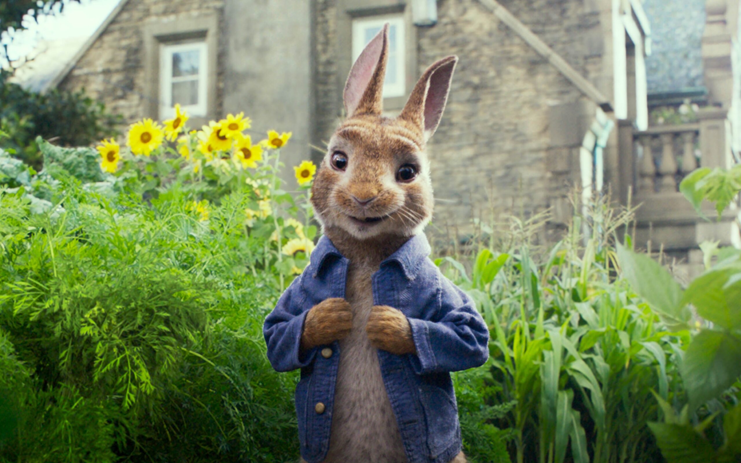 Peter Rabbit 2 – Un birbante in fuga: recensione del film con Rose Byrne