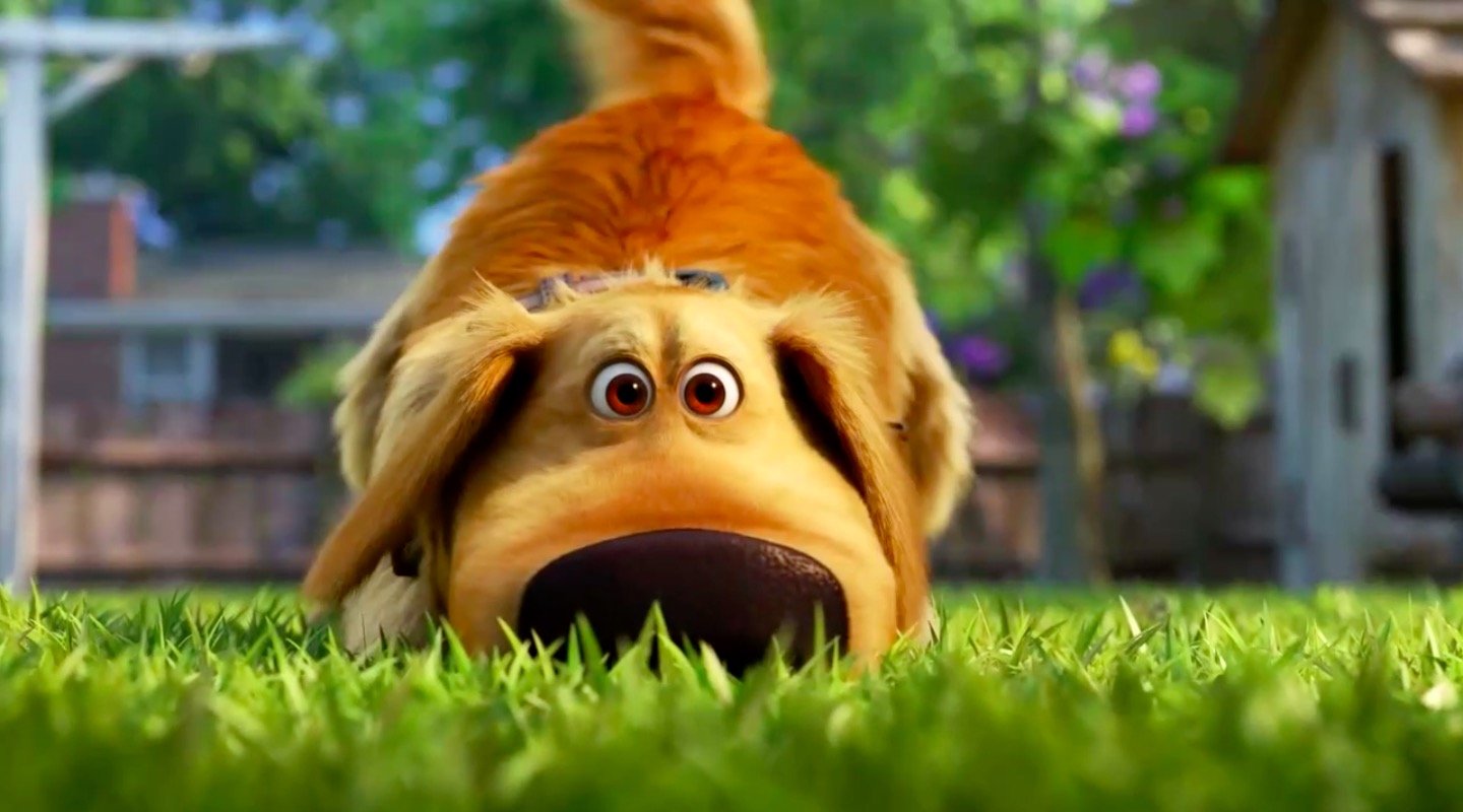Una vita da Dug: trailer e data d’uscita della serie Disney+ sul cane di Up