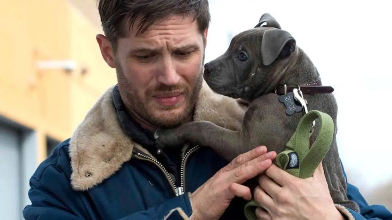 tom hardy, cinematographe.it