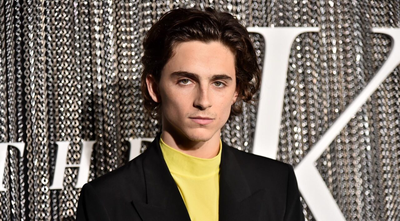 Timothée Chalamet; cinematographe.it