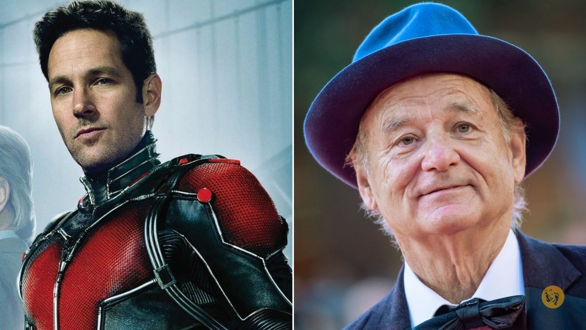 Ant-Man and the Wasp: Quantumania, nel cast c’è anche Bill Murray?