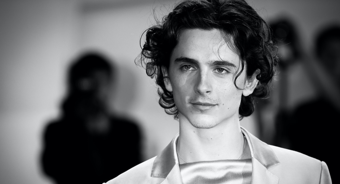 Timothée Chalamet rivela: “Il segreto del mio successo? Niente droghe e niente film sui supereroi”