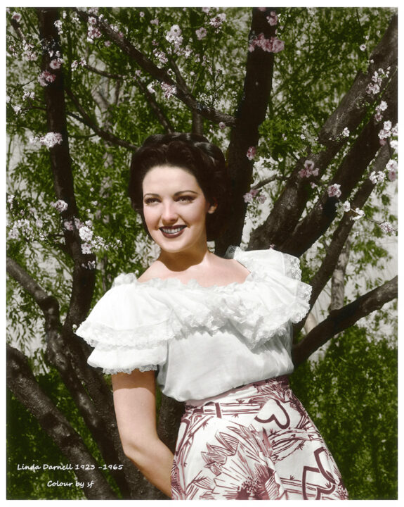 Uno scatto di Linda Darnell