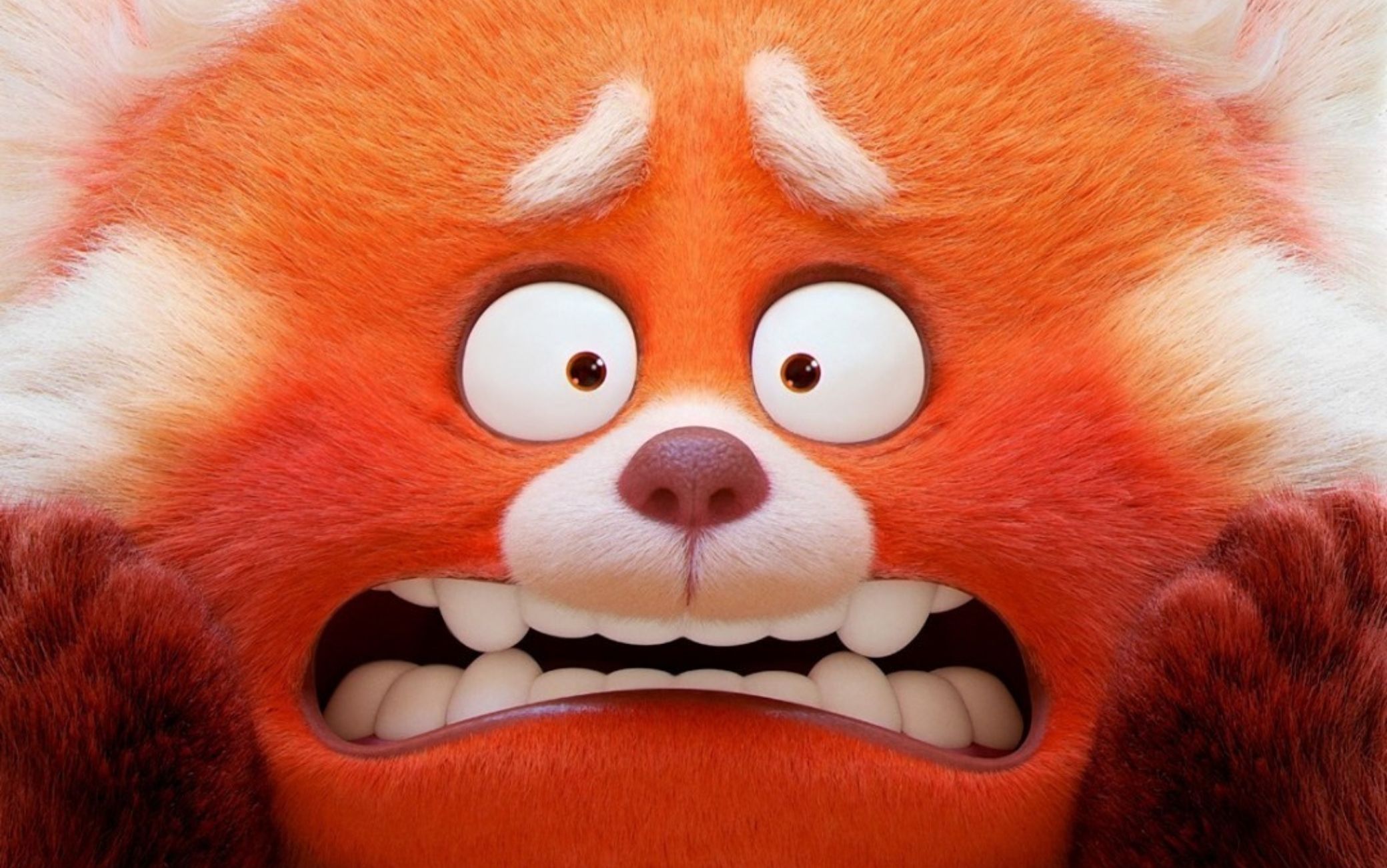 Red (2022): recensione del film Disney Pixar