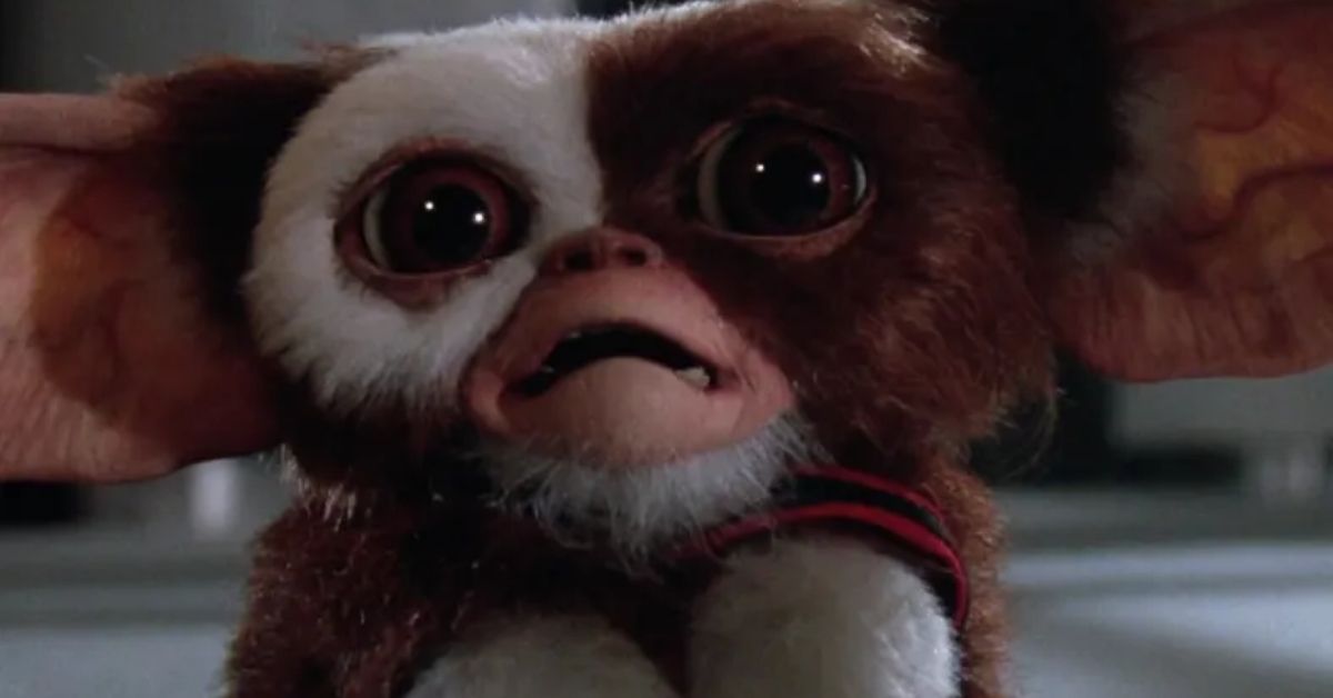 Gremlins: a quale animale si è ispirato Joe Dante per Gizmo e i suoi “amici”? Tutte le caratteristiche dei Mogwai