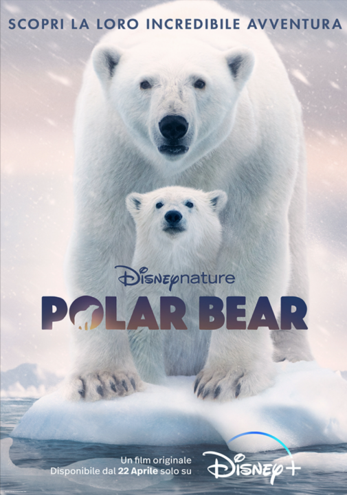 Polar Bear; cinematographe.it