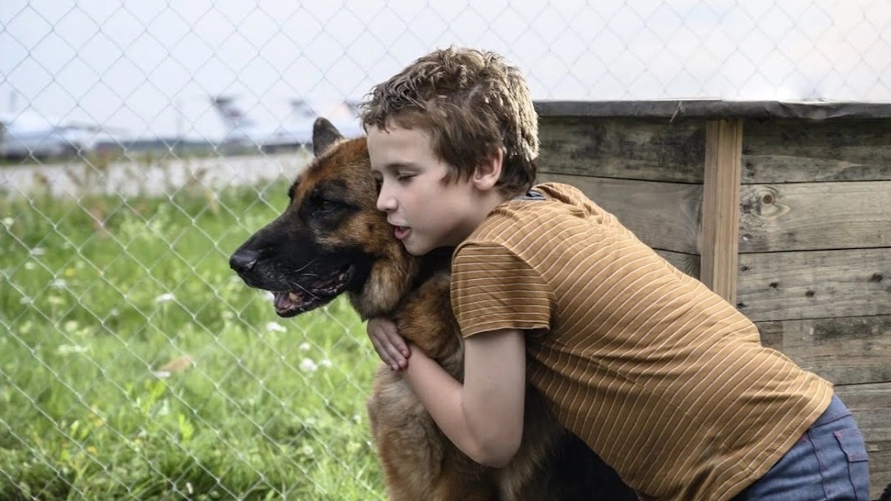 Un momento di Palma un amore di cane