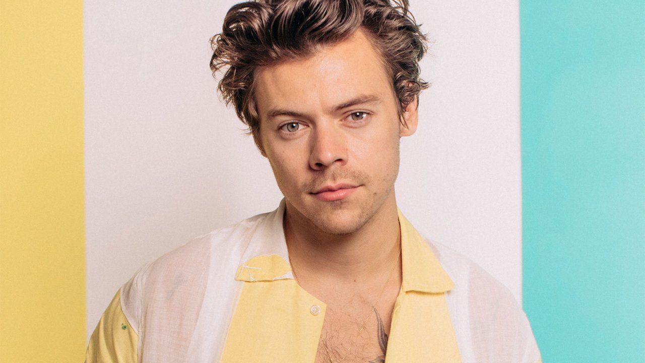 Harry Styles, curiosità, Cinematographe.it