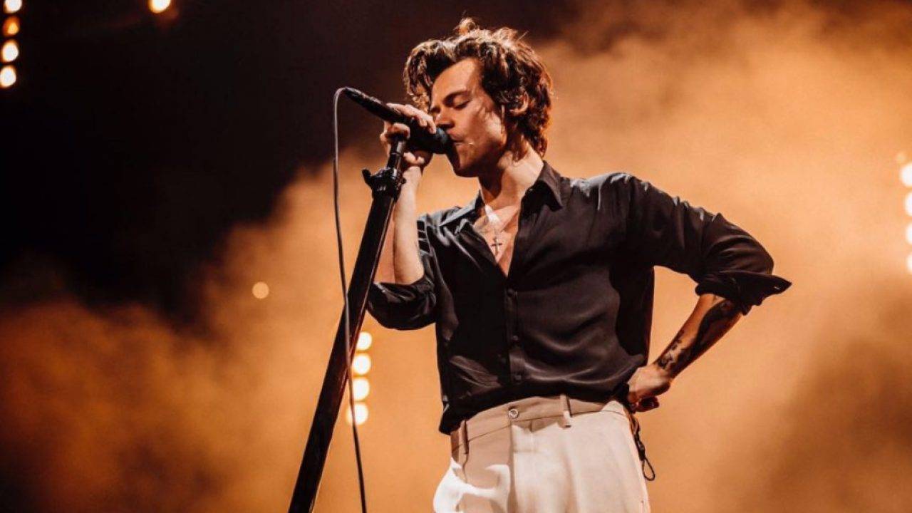 Harry Styles, curiosità, Cinematographe.it