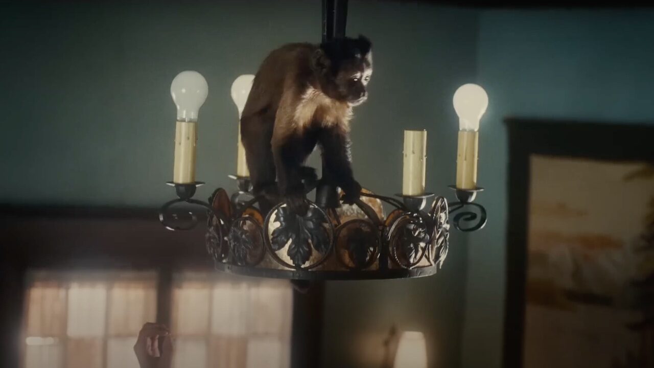 Steven Spielberg preso di mira dalla PETA: la “colpa” è della scimmia di The Fabelmans