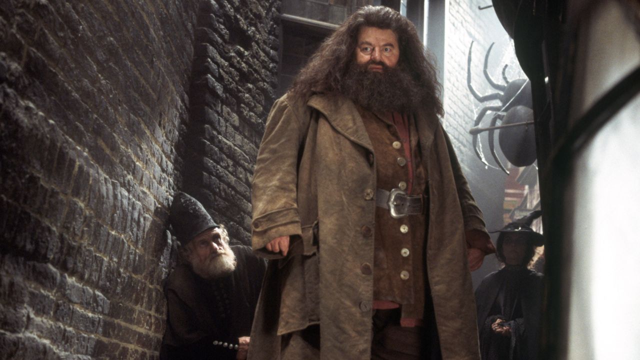 Robbie Coltrane Hagrid