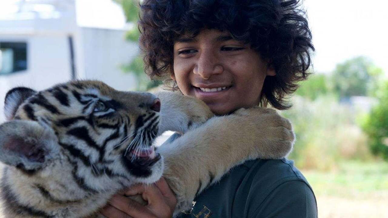 Il ragazzo e la tigre: recensione dell’avventuroso film di Brando Quilici -Cinematographe.it