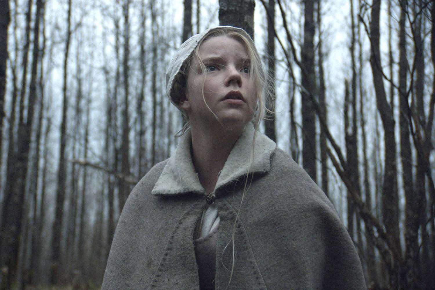 The Witch, l'esordio di Anya Taylor-Joy - Cinematographe.it