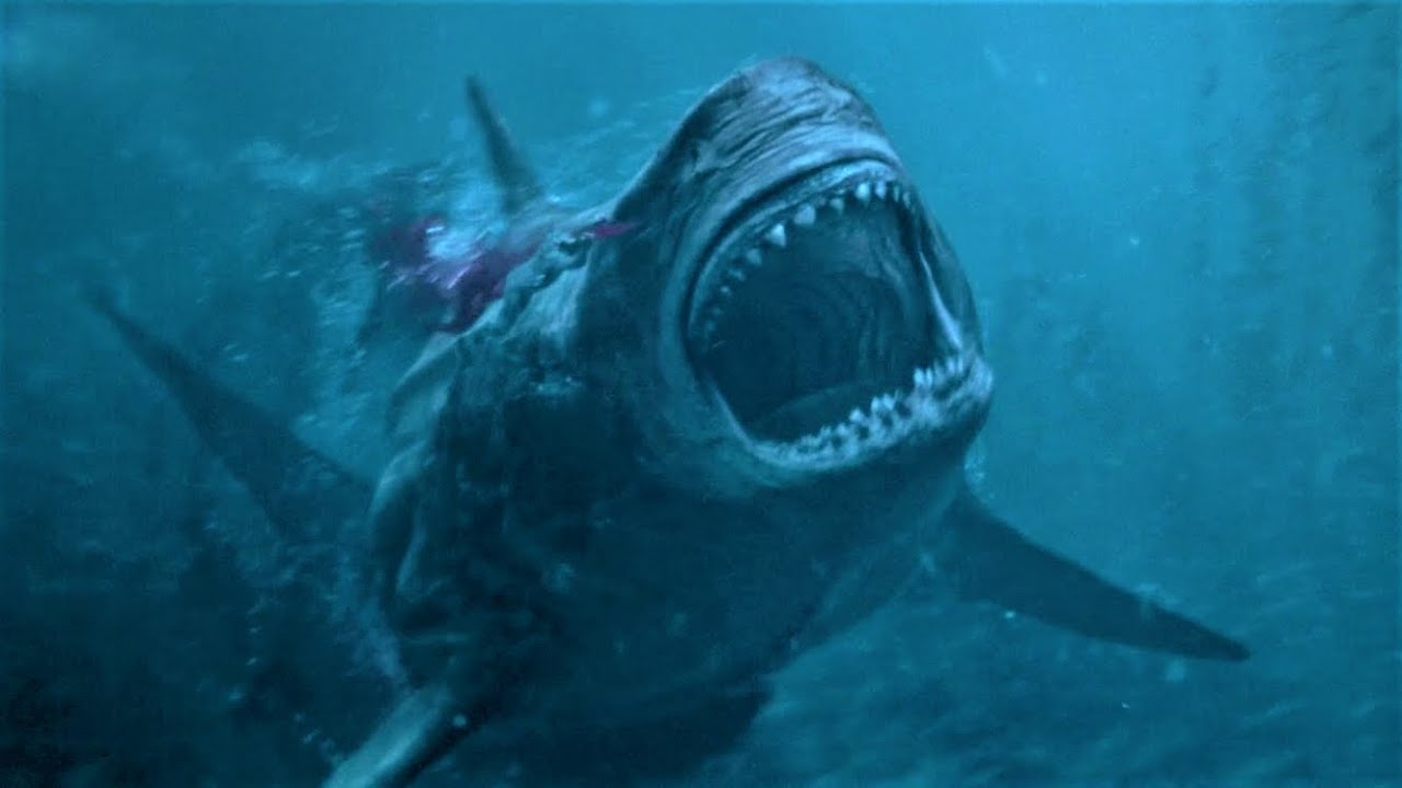 The Shark - Il primo squalo - Cinematographe