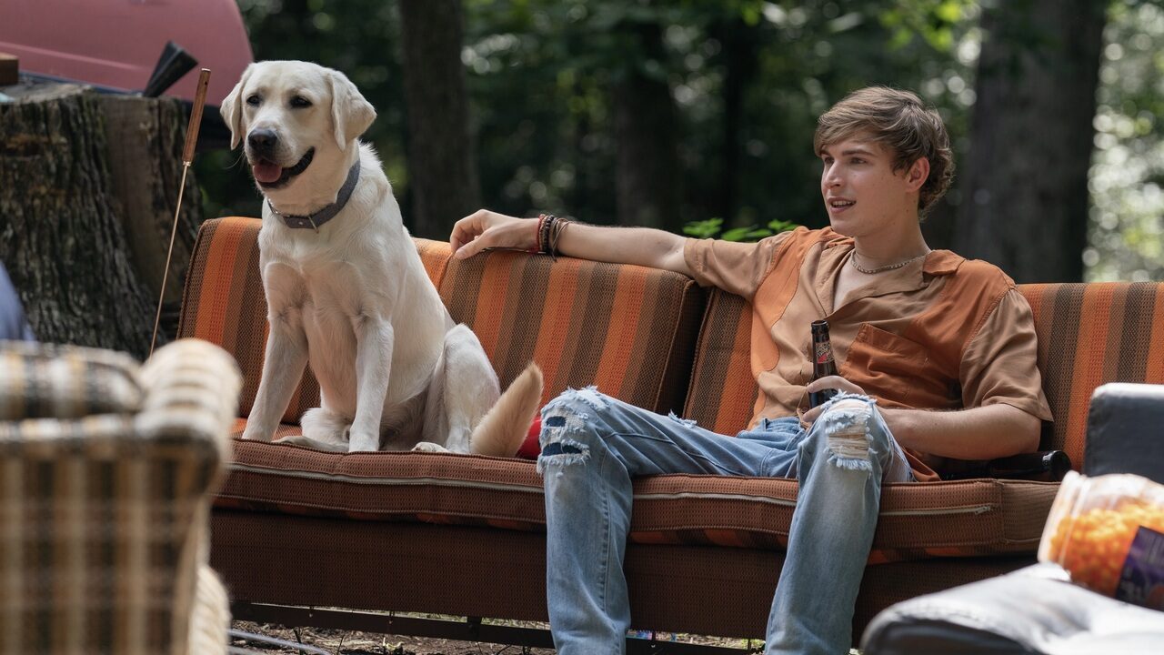 Dog Gone, storia vera dietro film Netflix - cinematographe.it
