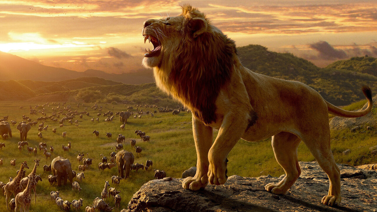 Il Re Leone e quell’incredibile controversia sulla proprietà intellettuale: il film Disney accusato di plagio