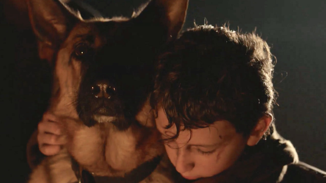 Zack, cane eroe: trama, trailer e cast del film di Lynn Roth