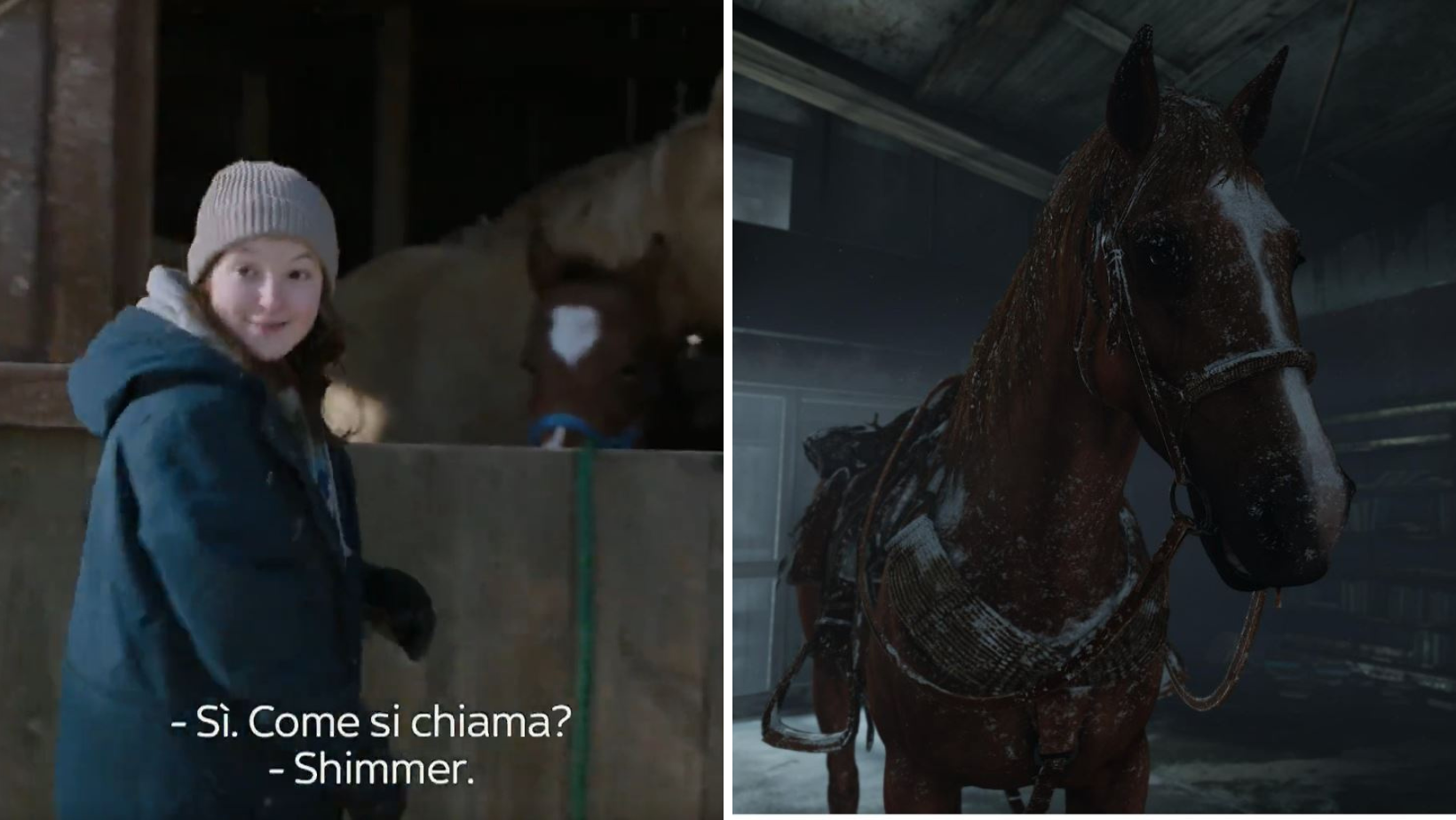 Il cavallo di Ellie, Shimmer; Cinematographe.it
